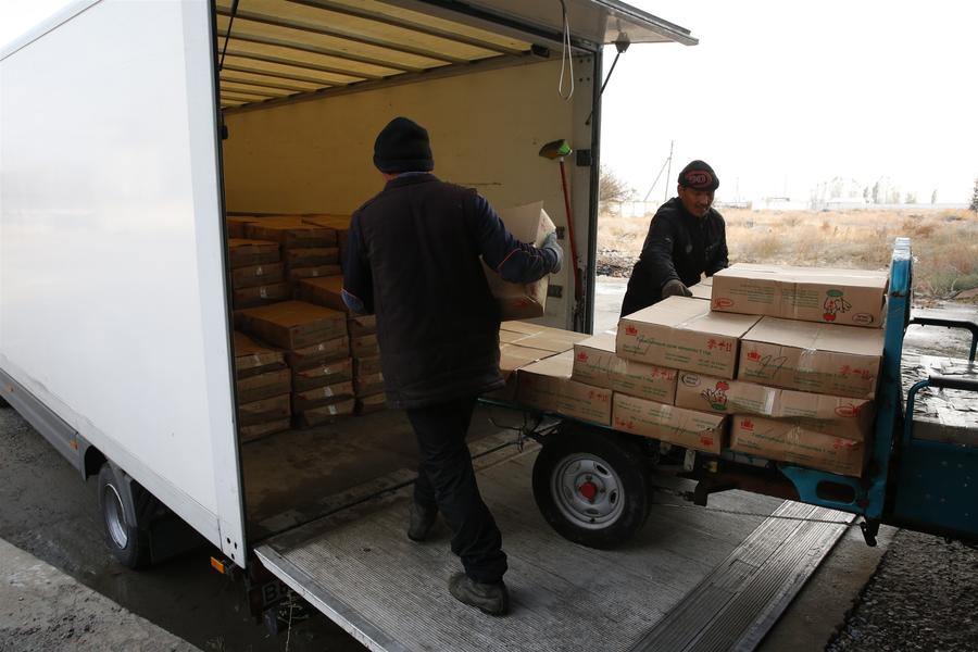 國(guó)家級(jí)境外經(jīng)貿(mào)合作區(qū)“亞洲之星”帶動(dòng)中吉農(nóng)業(yè)合作