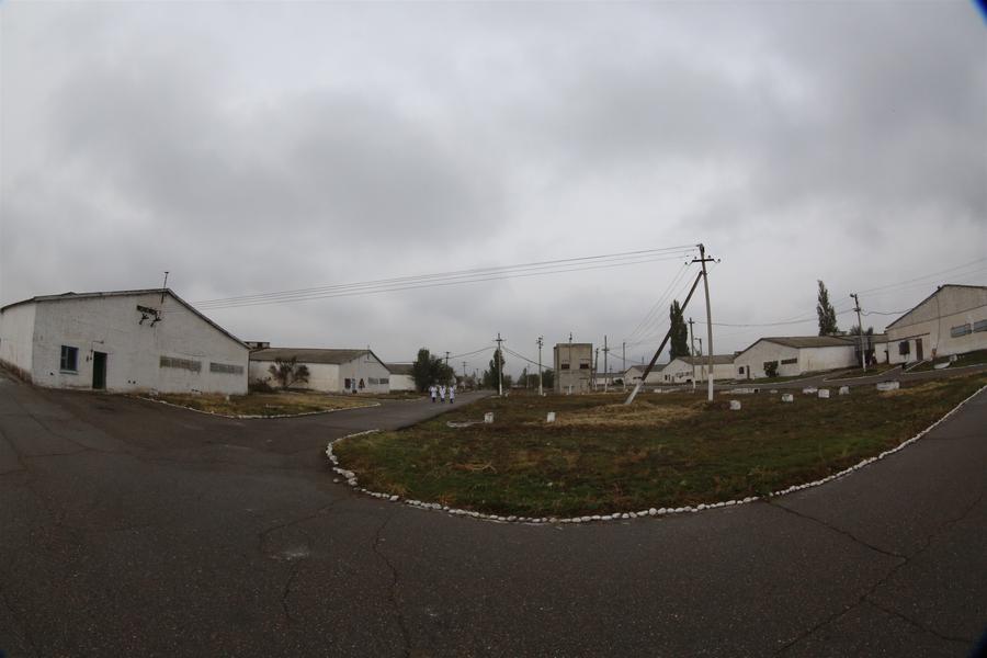 國家級(jí)境外經(jīng)貿(mào)合作區(qū)“亞洲之星”帶動(dòng)中吉農(nóng)業(yè)合作