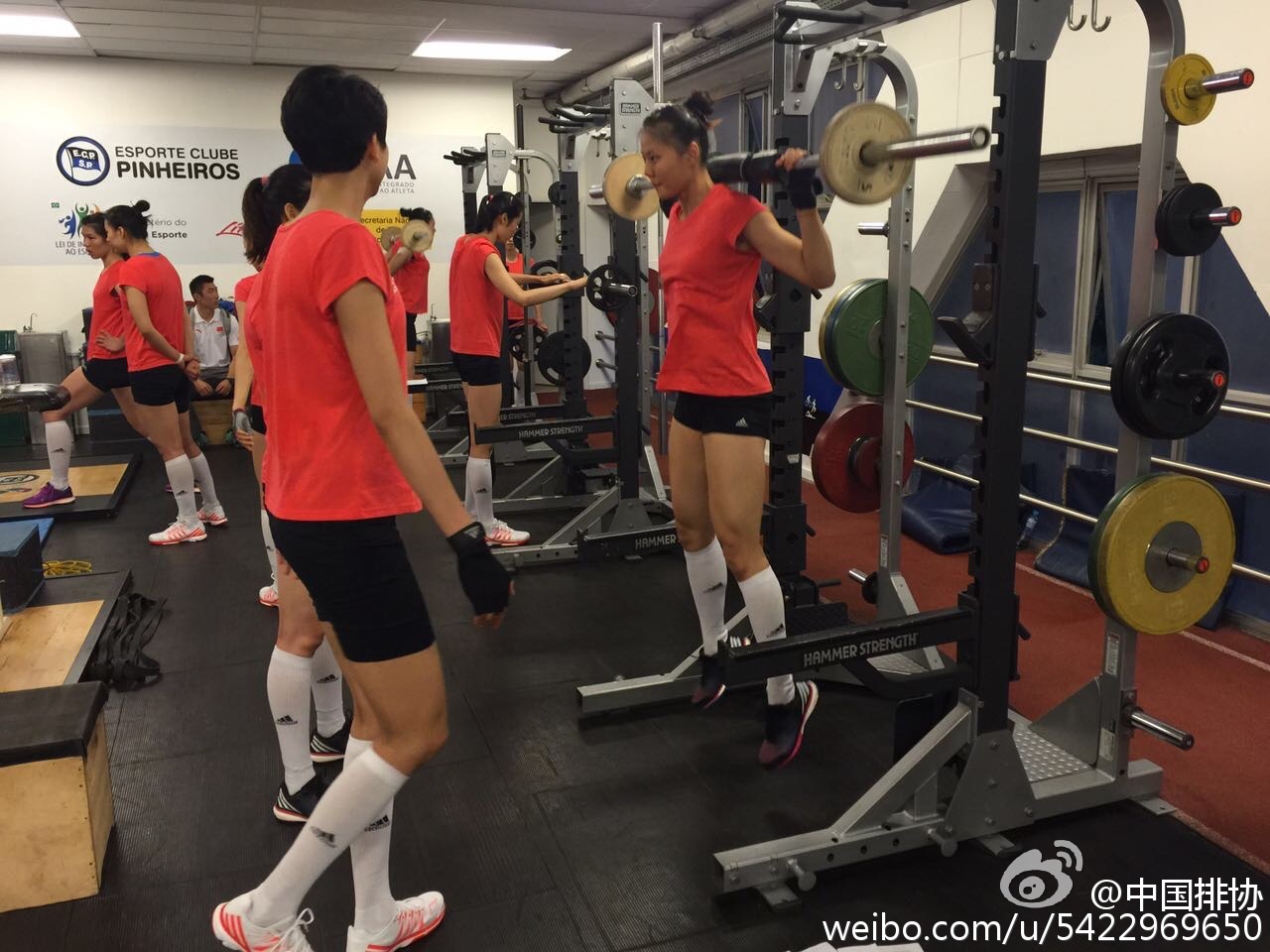 女排順利飛抵里約 圣保羅訓練營賽前忙備戰