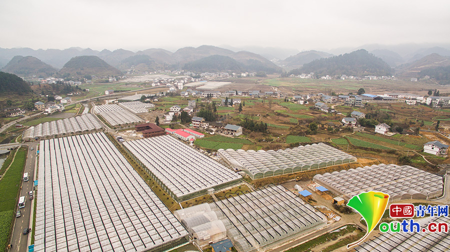 看花茂脫貧，習大大為何在這里找到了鄉(xiāng)愁