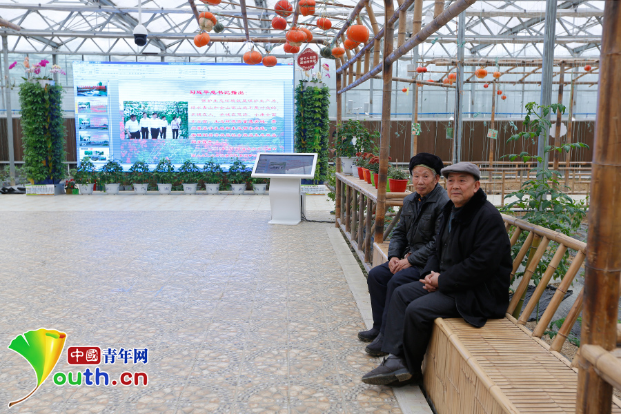 看花茂脫貧，習(xí)大大為何在這里找到了鄉(xiāng)愁