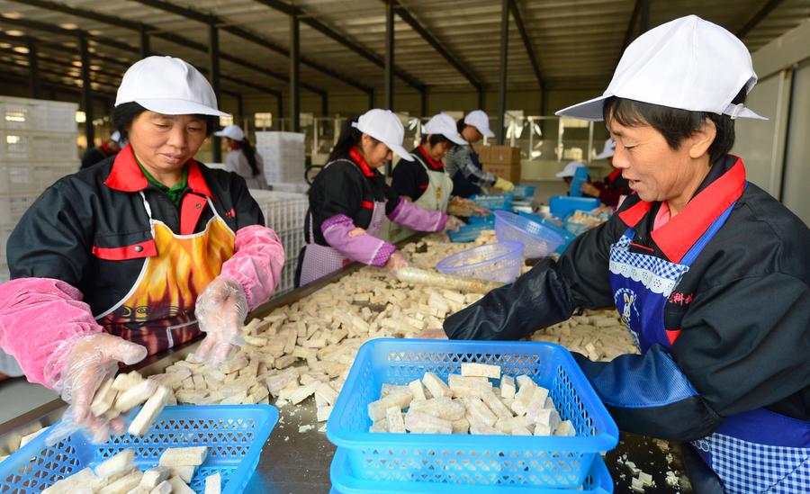 （治國理政新思想新實踐）實現復興偉業的行動指南——中國特色社會主義理論體系最新成果述評