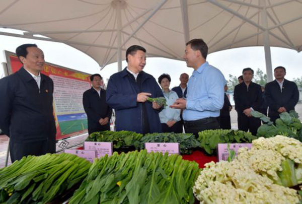 習(xí)近平對精準(zhǔn)扶貧提出四項舉措