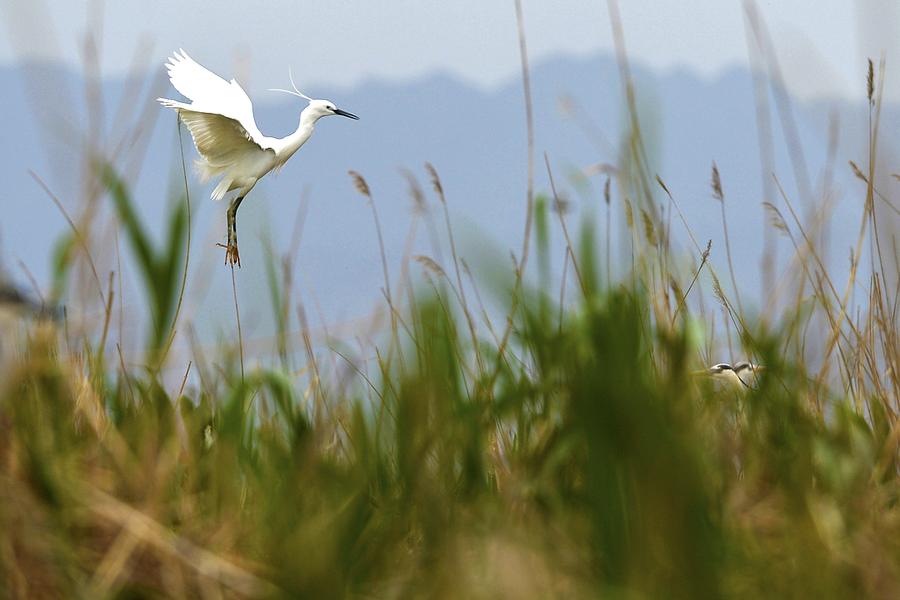 走向社會主義生態文明新時代
