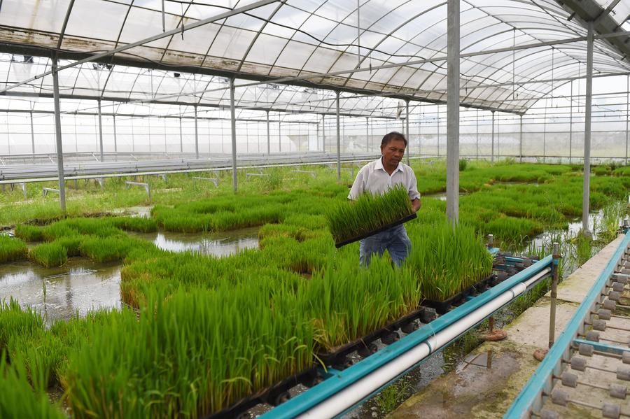 牢固樹立和自覺踐行發展新理念