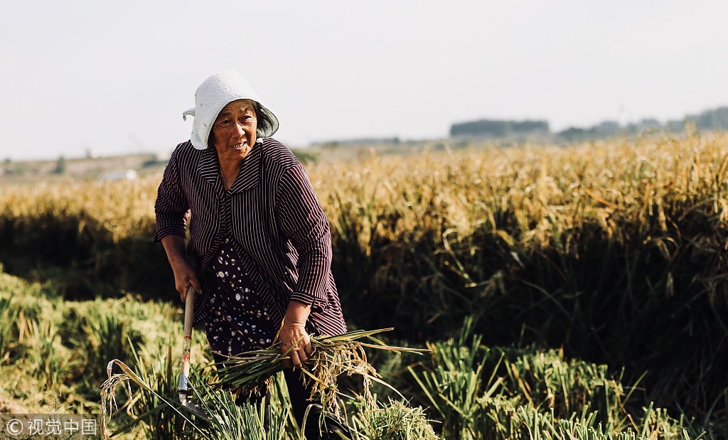 【老外談】中國(guó)在消除饑餓戰(zhàn)中走上世界舞臺(tái)