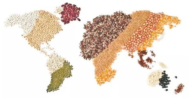 G20峰會(huì)前瞻 | 2050年全球人口新增20億，吃飯問題怎么辦？