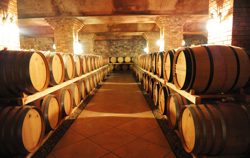 跟隨習(xí)主席的腳步，一起到阿根廷看一看！