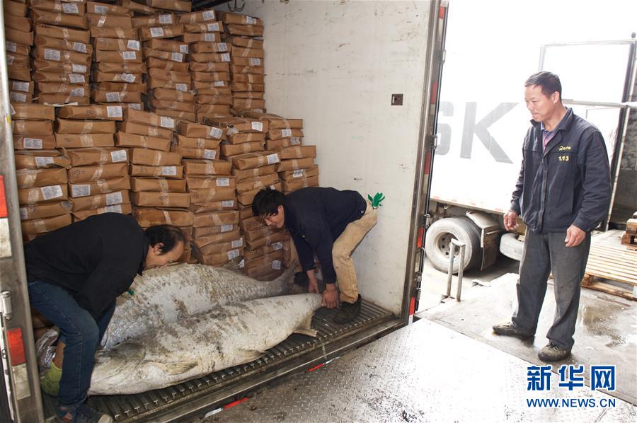 中國-東盟海產品交易所助力“一帶一路”漁業互利共榮