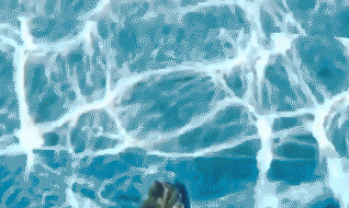 有錢還得有膽！美國豪華公寓推出“天空之池”