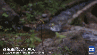 解碼中國丨這位當代“愚公”在懸崖峭壁上鑿出7千米水渠，現實比神話傳說更震撼！