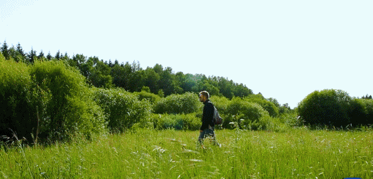 英國(guó)小哥到河北塞罕壩避暑，竟意外收獲了一個(gè)美麗的故事丨好運(yùn)中國(guó)