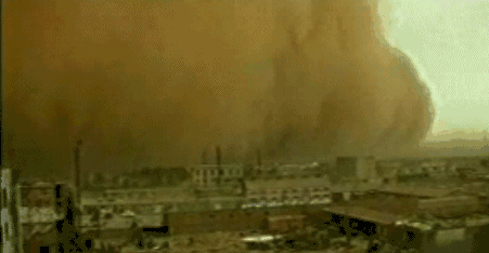 英國(guó)小哥到河北塞罕壩避暑，竟意外收獲了一個(gè)美麗的故事丨好運(yùn)中國(guó)