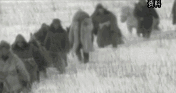 英國(guó)小哥到河北塞罕壩避暑，竟意外收獲了一個(gè)美麗的故事丨好運(yùn)中國(guó)