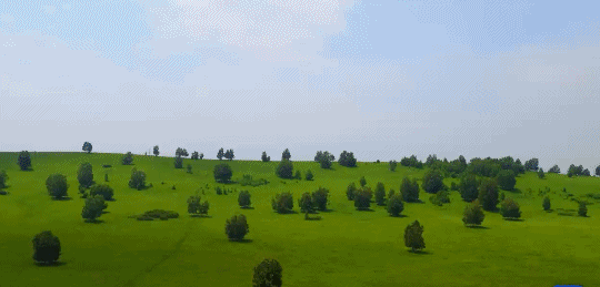 英國(guó)小哥到河北塞罕壩避暑，竟意外收獲了一個(gè)美麗的故事丨好運(yùn)中國(guó)