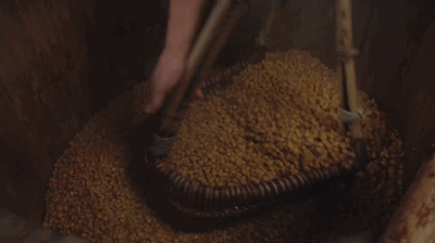 獨家視頻|這五年：英國小妹來到湘西苗寨，為什么變化這么大！