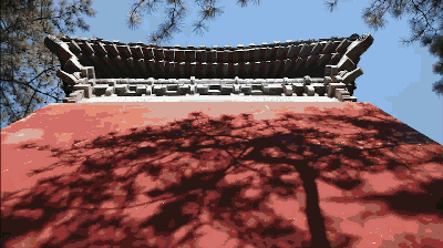 獨家視頻|這五年:英國小妹從北京到雄安,發現果然1+1+1>3!