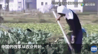 從斯坦福高材生到中美關系專家，他見證中國巨變，感觸最深的是……丨40年40人