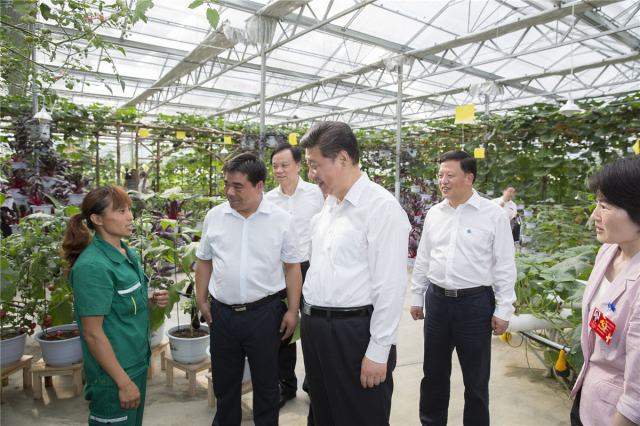 2015年，習(xí)近平總書(shū)記到過(guò)哪些地方？