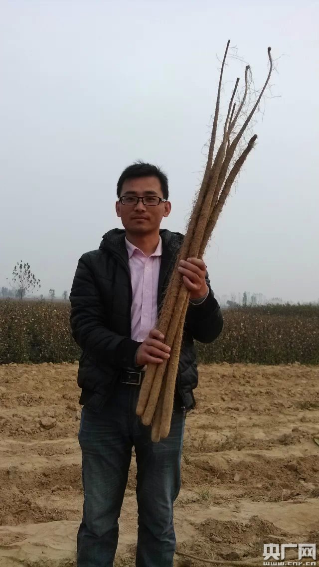 [網絡媒體走轉改]小伙深圳辭職行走田間創業 “互聯網+農業”他愿田間守黃金