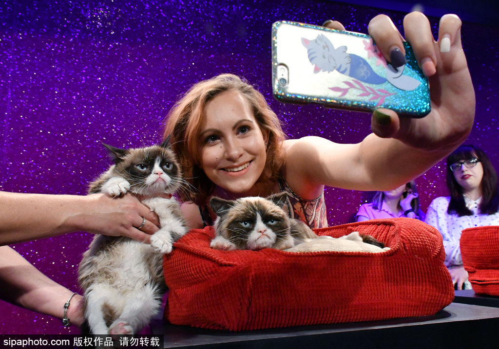 倫敦：著名“不爽貓”蠟像亮相杜莎館 與本尊合影傻傻分不清楚