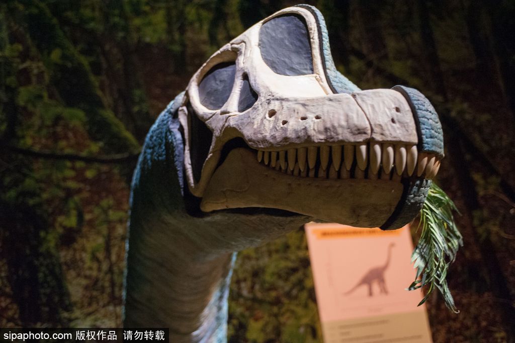 英國恐龍展超逼真 彷佛回到侏羅紀(jì)