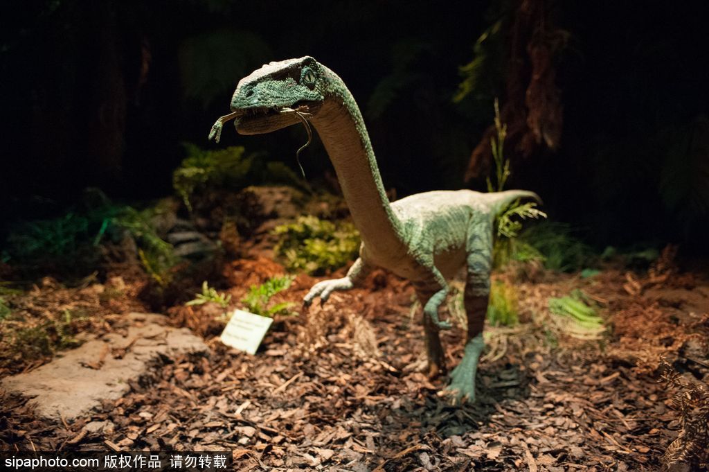 英國(guó)恐龍展超逼真 彷佛回到侏羅紀(jì)