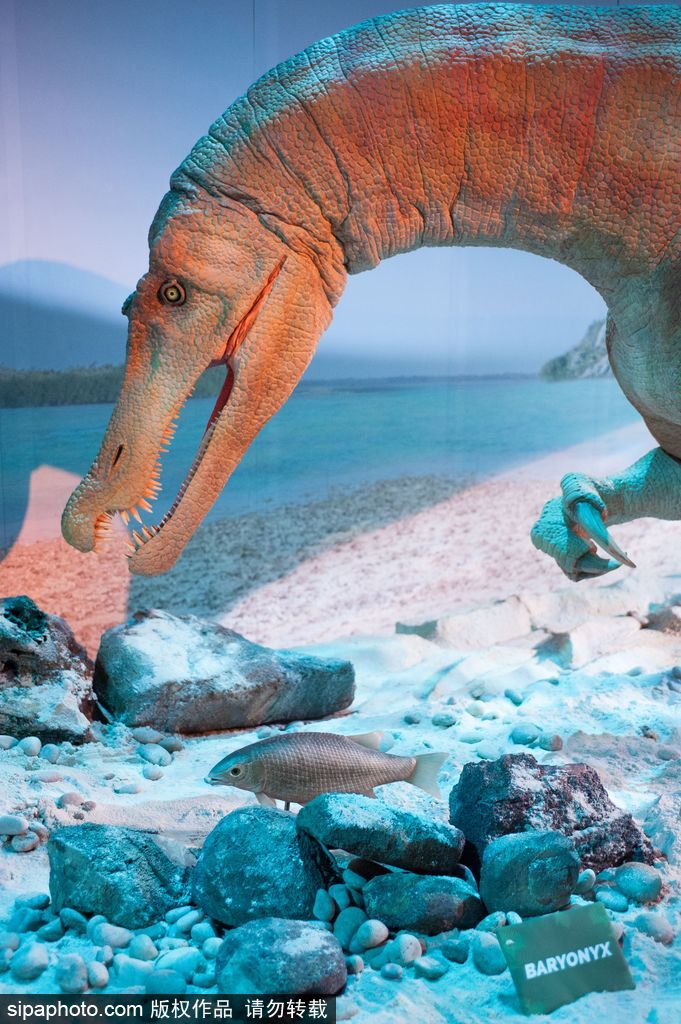 英國恐龍展超逼真 彷佛回到侏羅紀