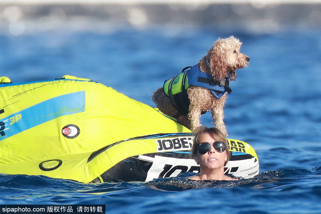 盤點：“星級”鏟屎官與汪星人的溫馨日常