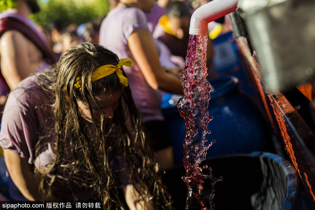 西班牙小鎮舉行“紅酒大戰” 上演紫色狂歡