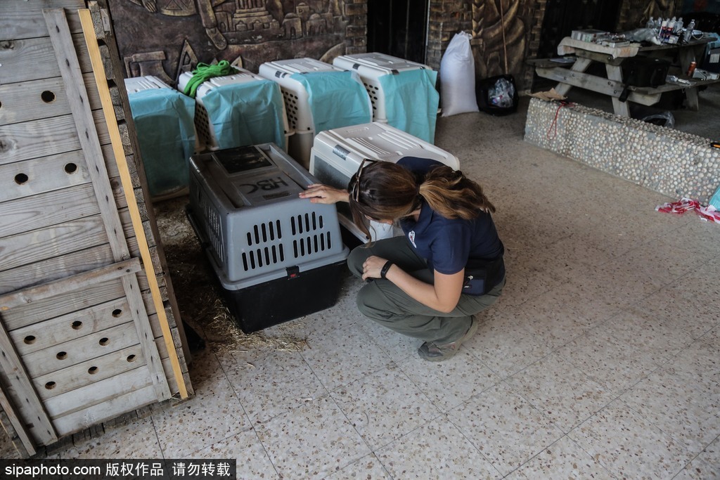 全球最慘動物園永久關閉