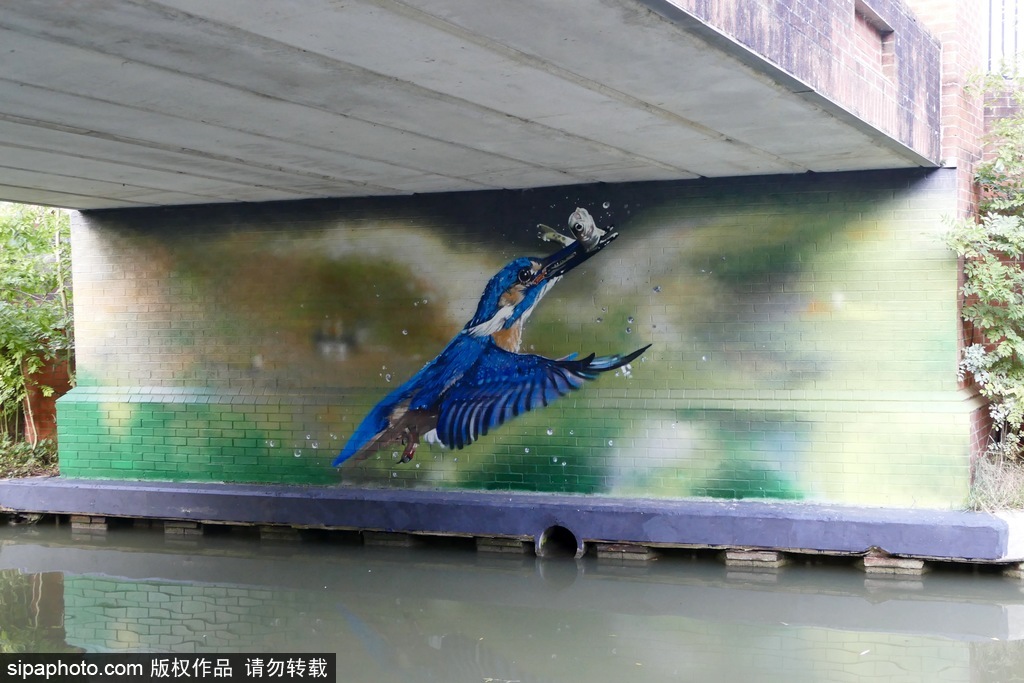 英國：卡通藝術(shù)作品亮相牛津運(yùn)河橋底 繽紛多彩趣味十足