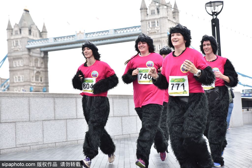 英國舉辦“大猩猩”慈善跑 人扮猩猩獻愛心募款