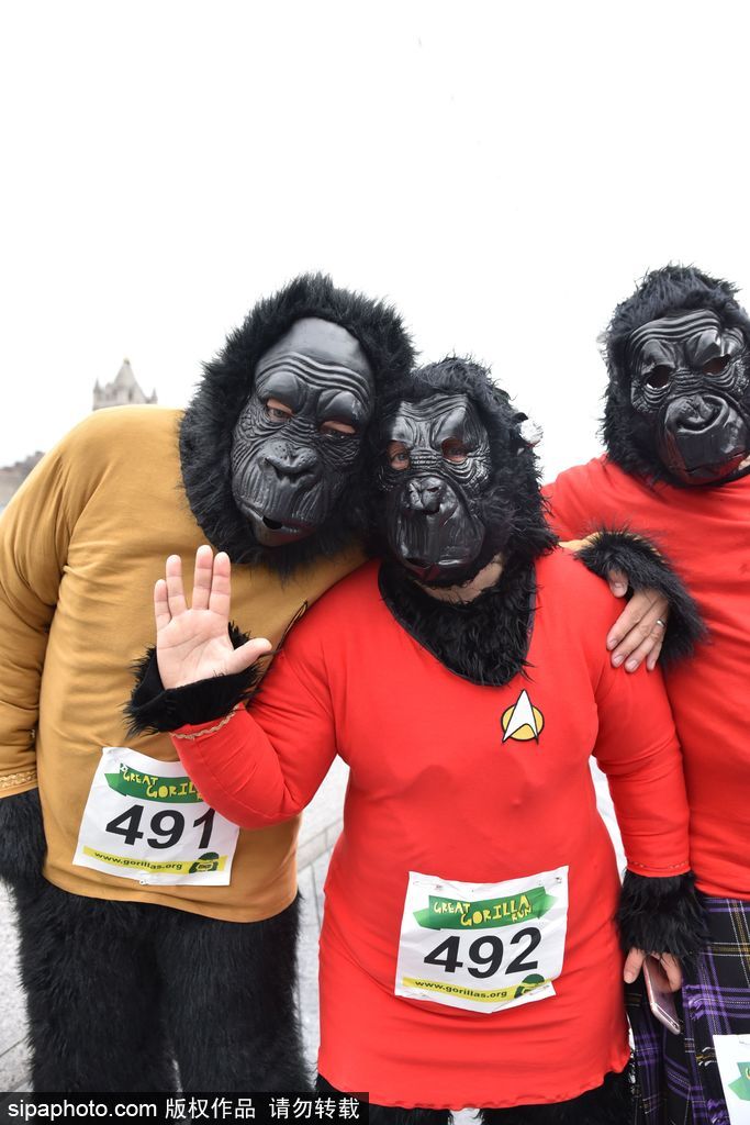 英國(guó)舉辦“大猩猩”慈善跑 人扮猩猩獻(xiàn)愛(ài)心募款