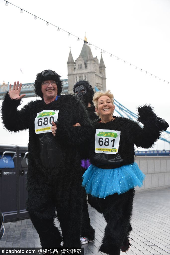 英國(guó)舉辦“大猩猩”慈善跑 人扮猩猩獻(xiàn)愛(ài)心募款