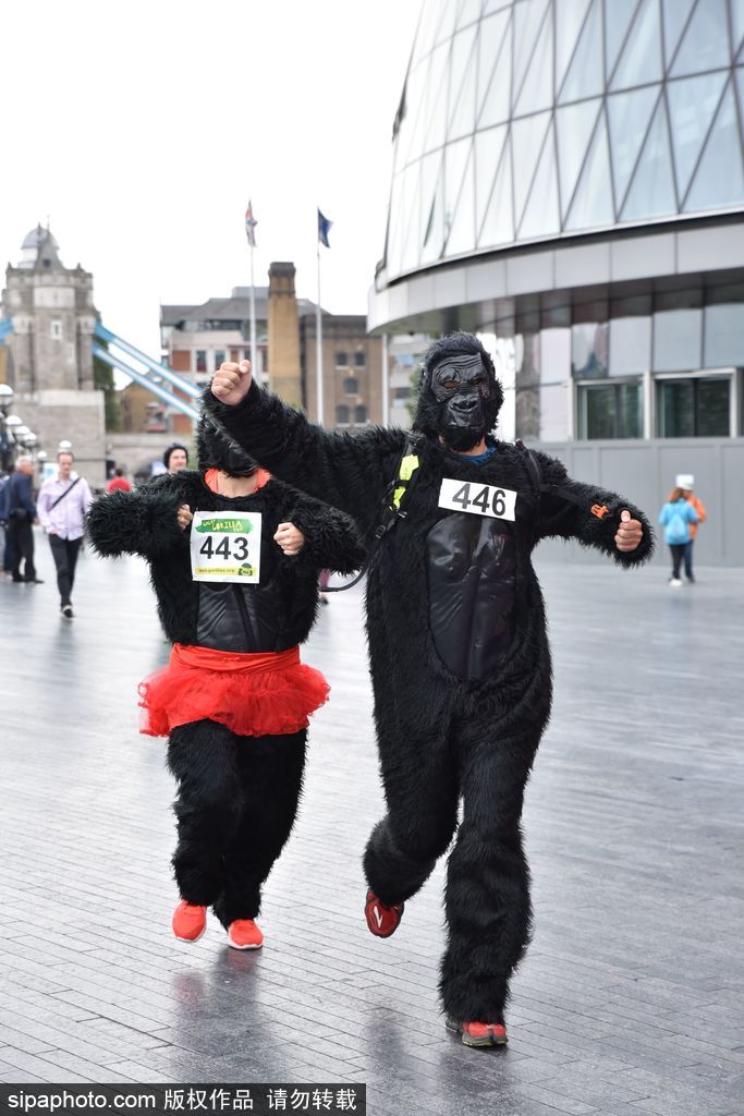 英國(guó)舉辦“大猩猩”慈善跑 人扮猩猩獻(xiàn)愛心募款