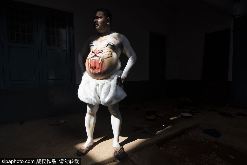 印度傳統虎舞的臺前幕后 表演者用顏料涂滿全身化身“猛虎”