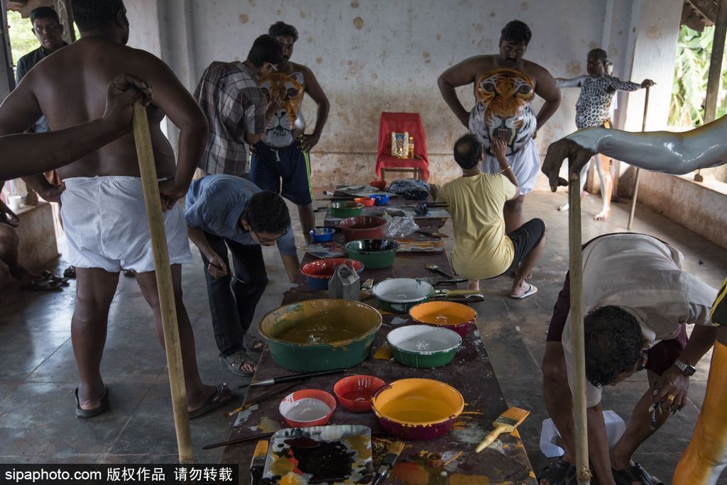 印度傳統(tǒng)虎舞的臺前幕后 表演者用顏料涂滿全身化身“猛虎”