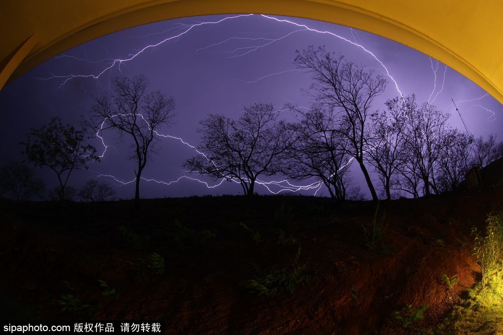 一切都與大海有關 沖浪攝影師獨特視角展示海洋魅力