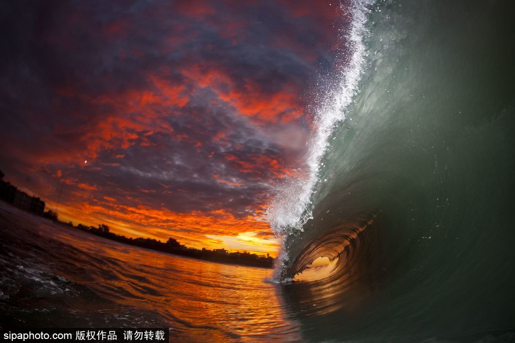 一切都與大海有關 沖浪攝影師獨特視角展示海洋魅力