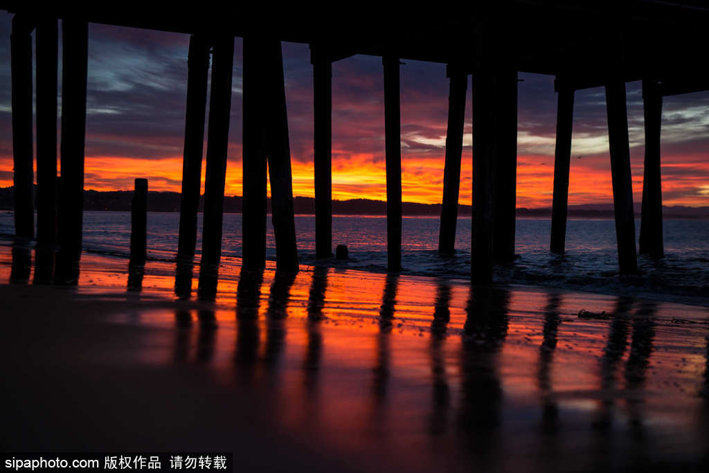 一切都與大海有關 沖浪攝影師獨特視角展示海洋魅力
