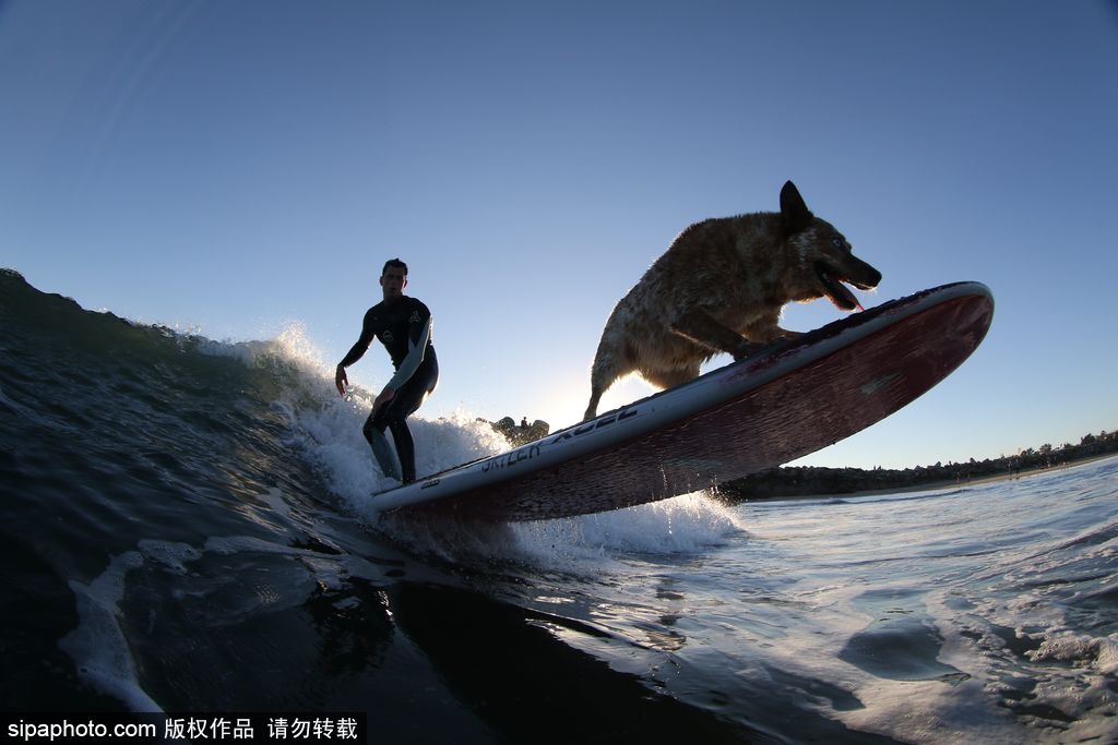 一切都與大海有關 沖浪攝影師獨特視角展示海洋魅力