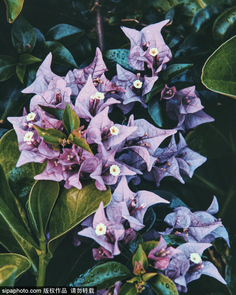 19歲攝影師記錄美國(guó)風(fēng)光 360度無(wú)死角絕美震撼