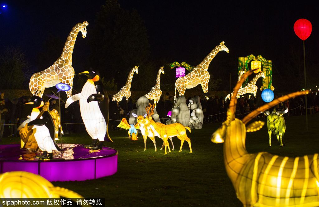 英國超大規(guī)模中國巨型燈籠會 豐富動物造型燈飾亮相