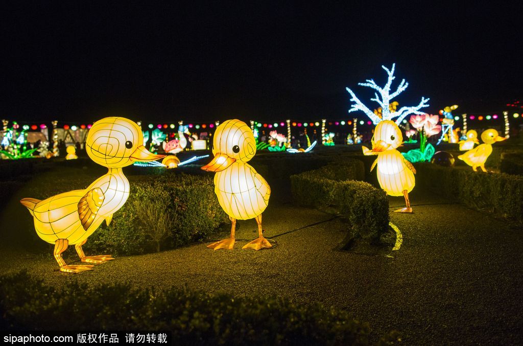 英國(guó)超大規(guī)模中國(guó)巨型燈籠會(huì) 豐富動(dòng)物造型燈飾亮相