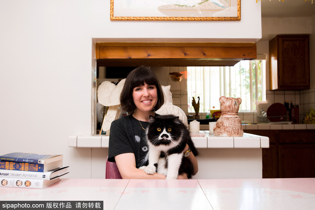 每只喵都是有故事的 貓界“網紅”呆萌瞬間