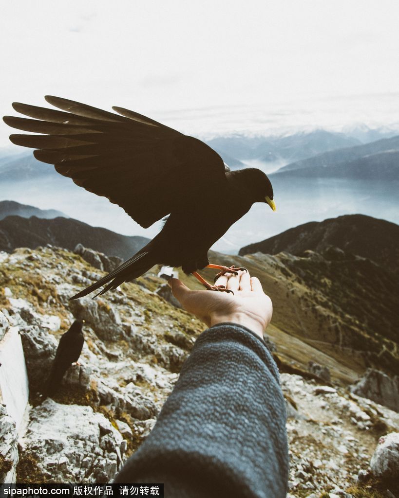 一覽眾山小 鳥瞰視角欣賞歐洲群山震撼風(fēng)光