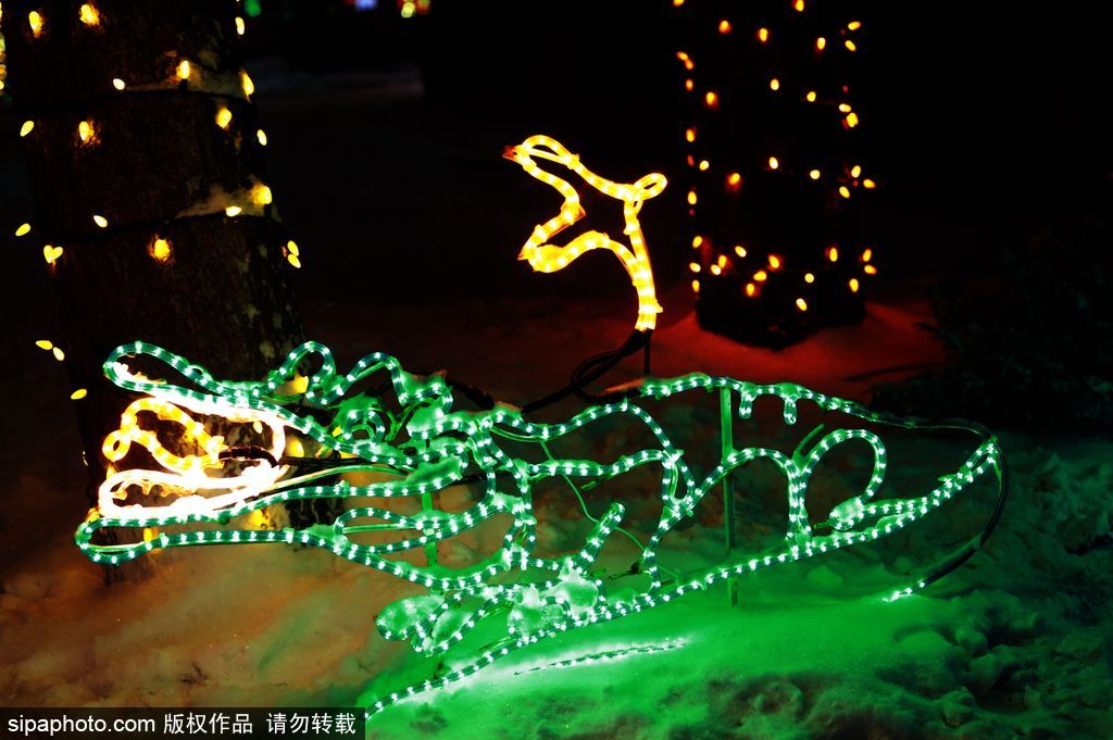 加拿大：卡爾加里公園亮起上萬彩燈迎接圣誕節 造型各異趣味十足
