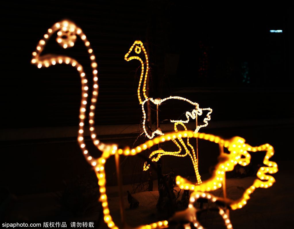 加拿大：卡爾加里公園亮起上萬彩燈迎接圣誕節(jié) 造型各異趣味十足