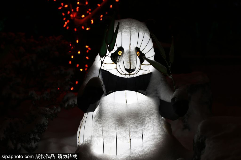 加拿大：卡爾加里公園亮起上萬彩燈迎接圣誕節 造型各異趣味十足